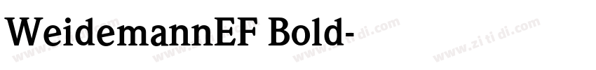WeidemannEF Bold字体转换